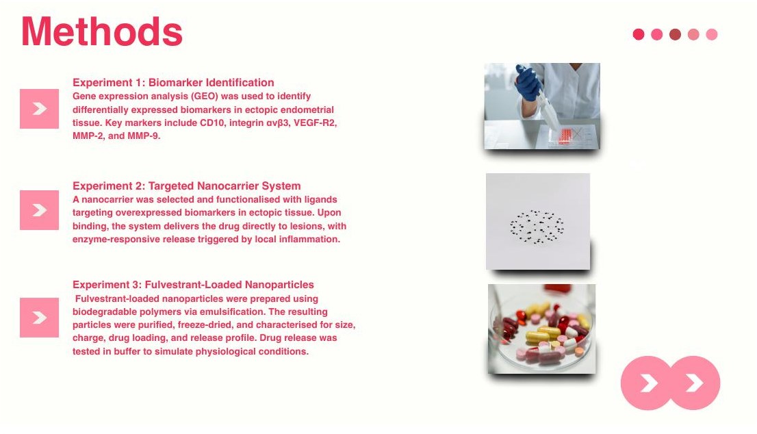 Slide describing three proposed methods: biomarker identification, targeted nanocarrier system and fulvestrant-loaded nanoparticles